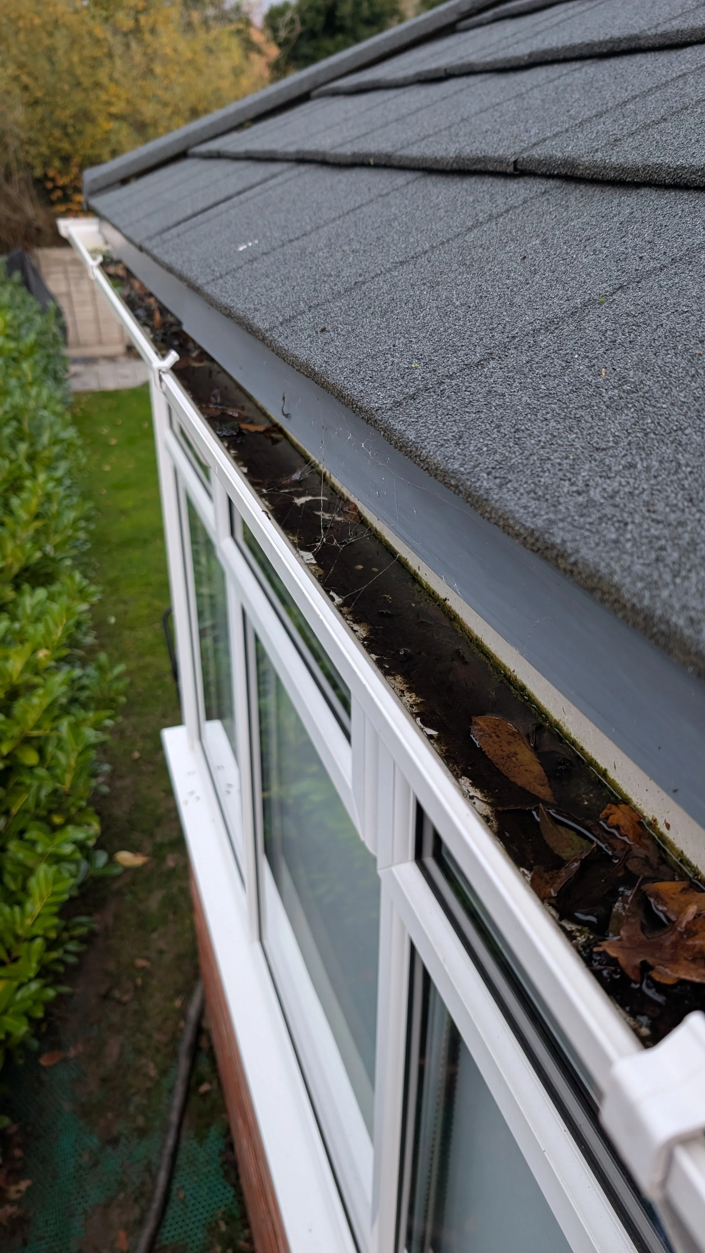 Gutters blocked with debris before cleaning Melbourne