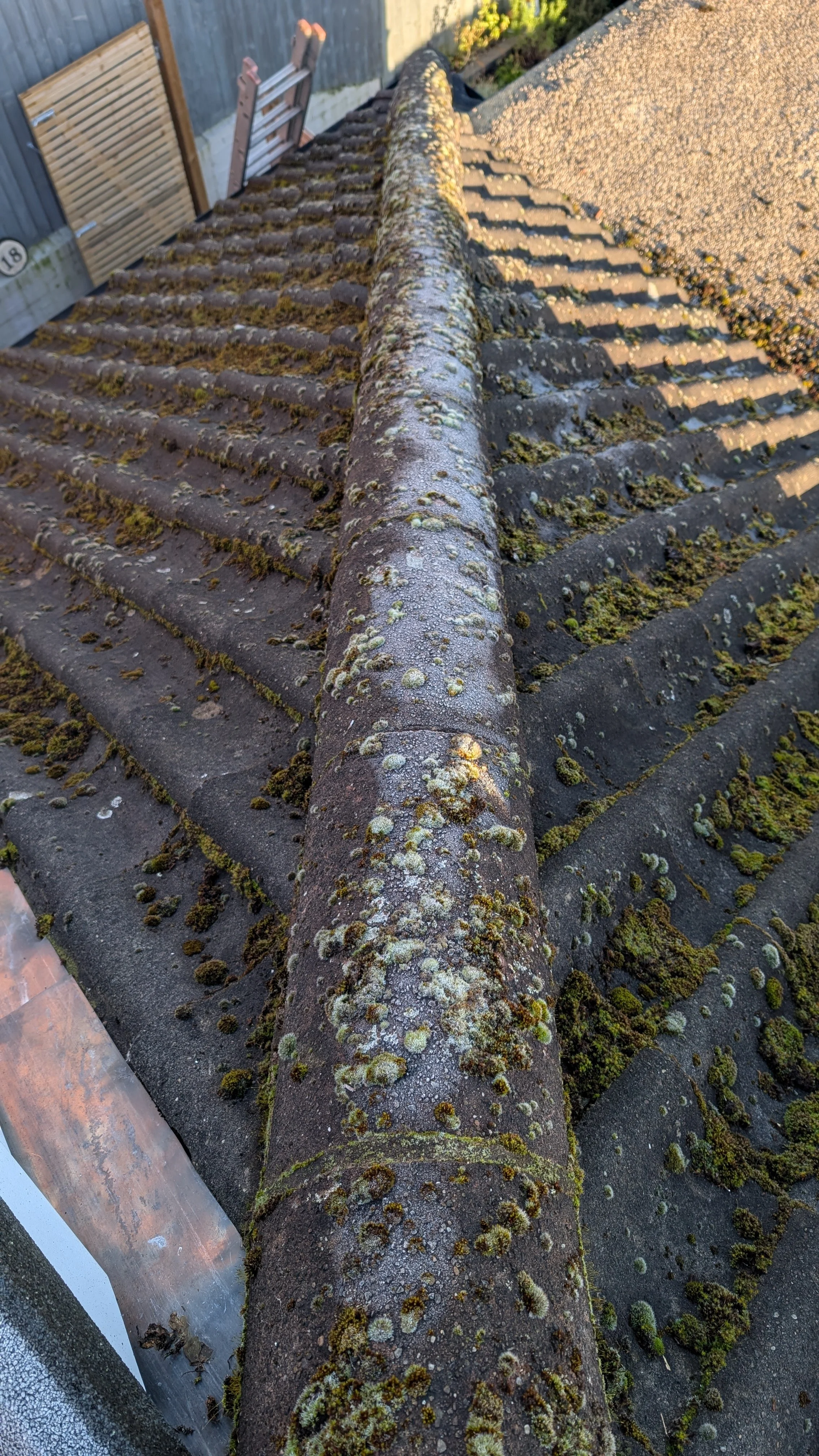 Roof tiles before cleaning — heavy moss growth Melbourne